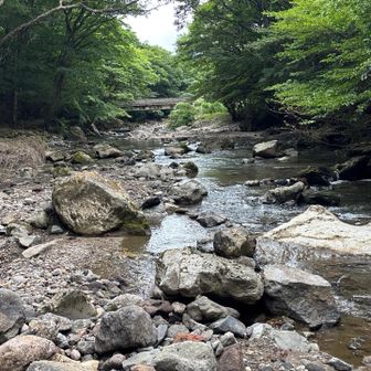 橋が見えてきた
計画では　ココまで