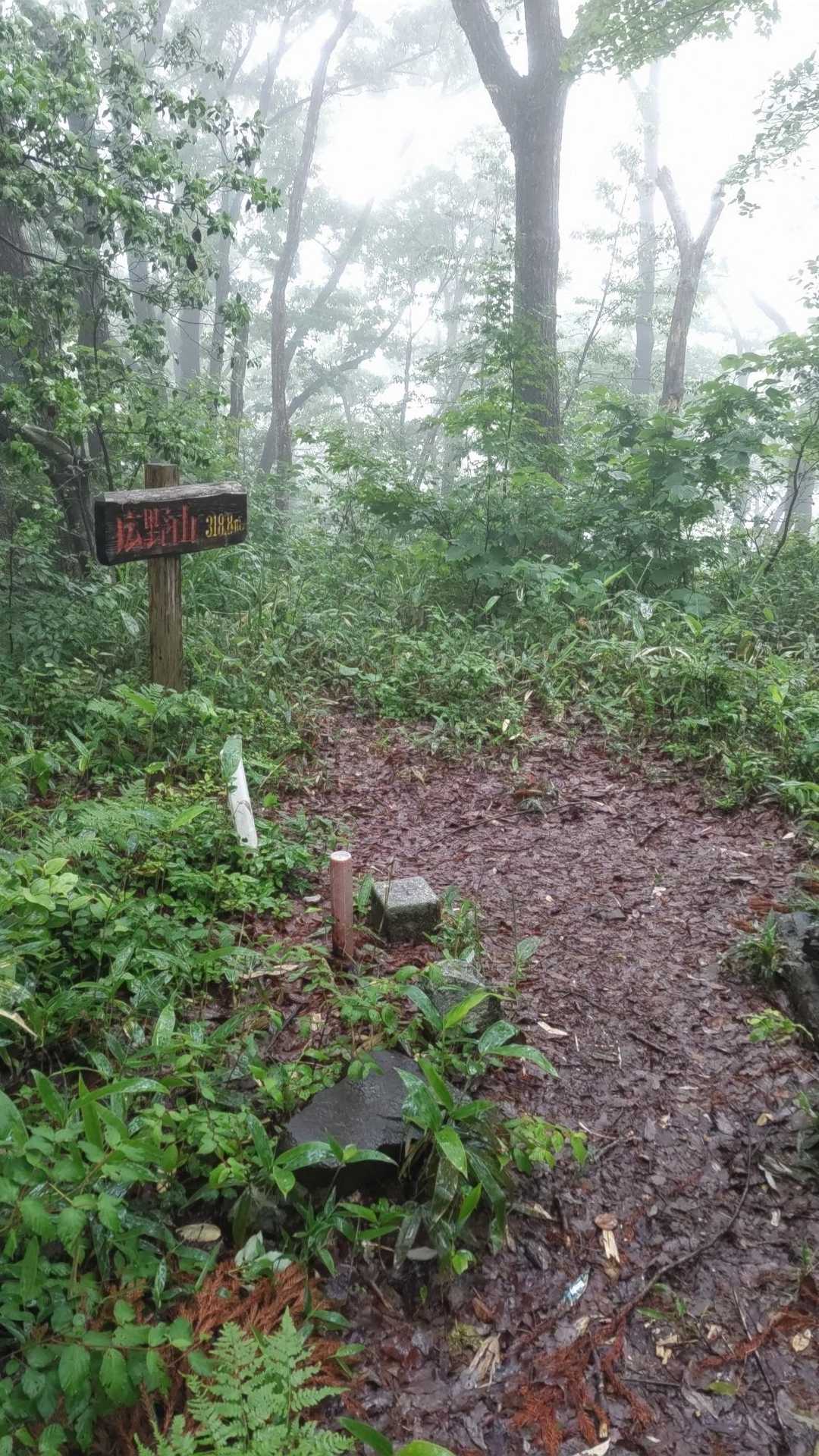 広野山に初登頂✌️
景色ありません。即下山します。