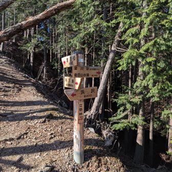 立野峠に到着!!