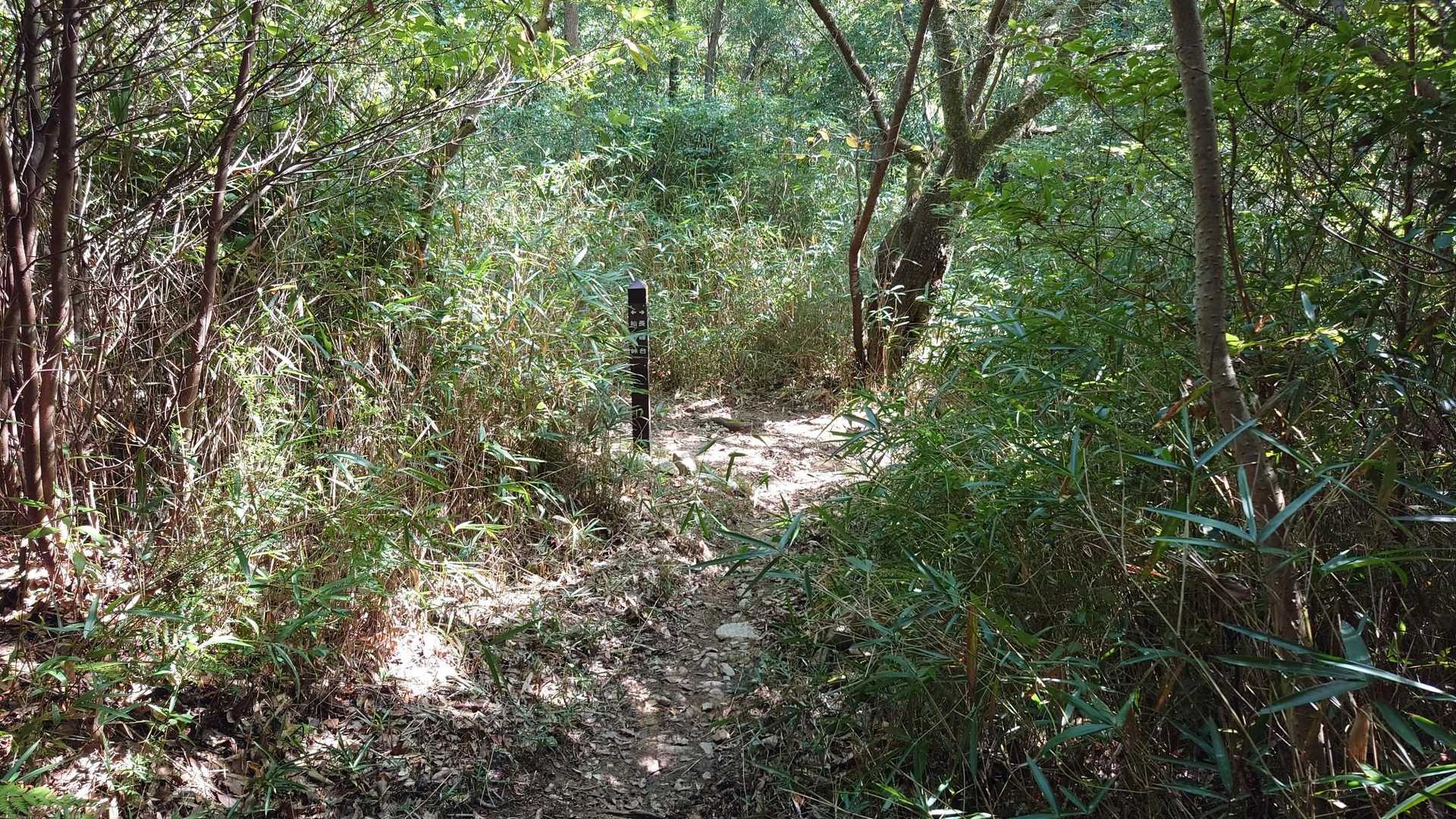 杣谷道 出合