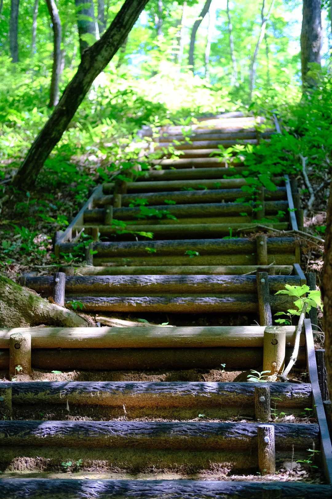 国見山-山の神 往復コースの写真