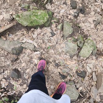 ローカット歩きやすい