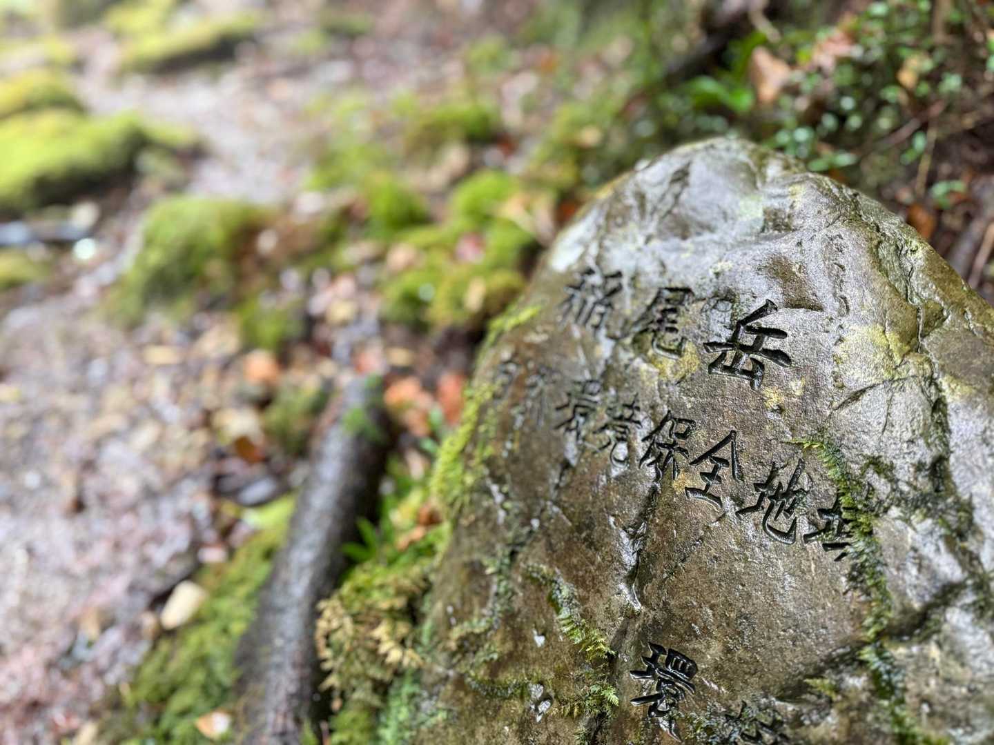 枯木岳-稲尾岳 往復コースの写真