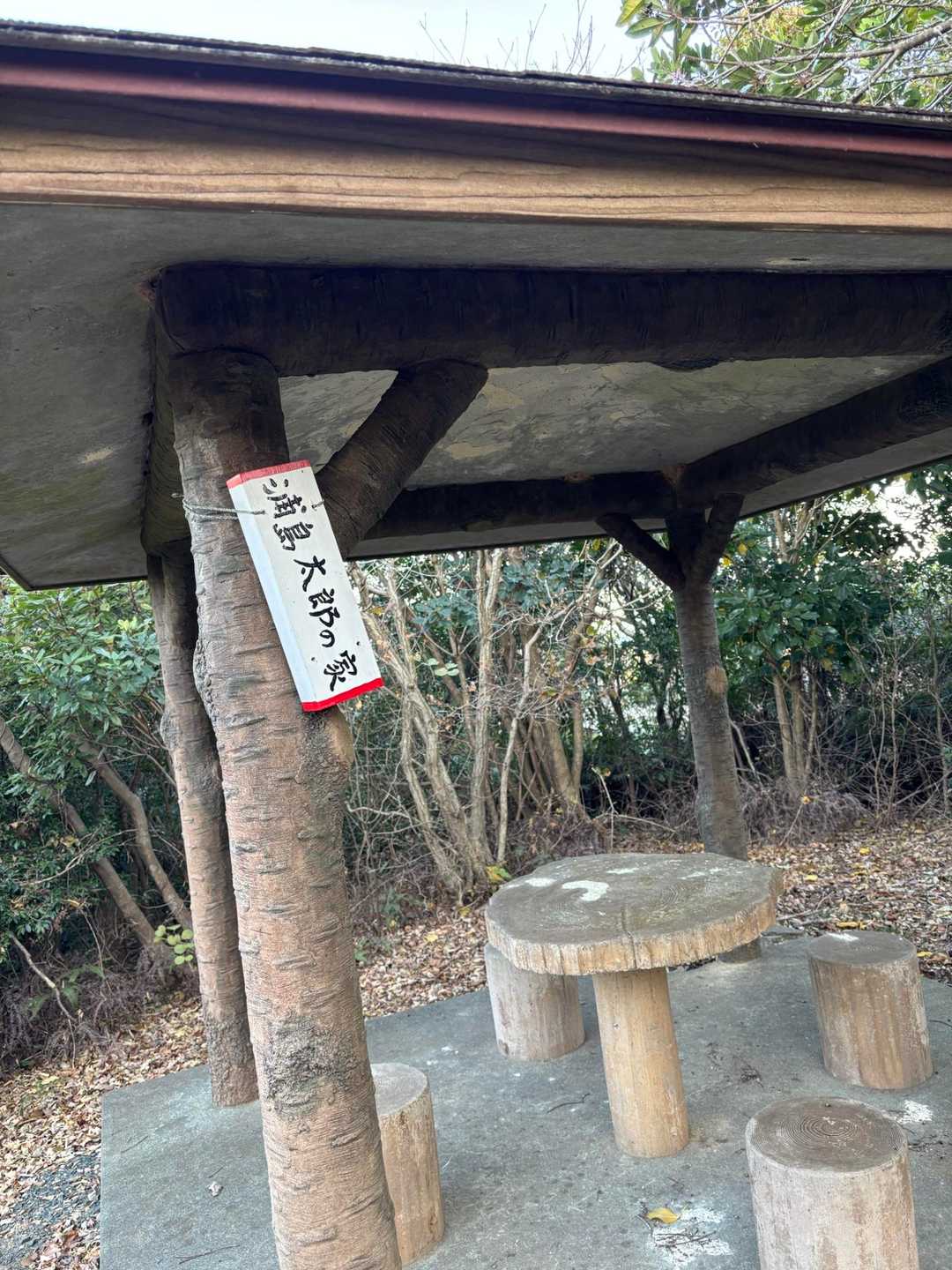 へぇ〜🤣