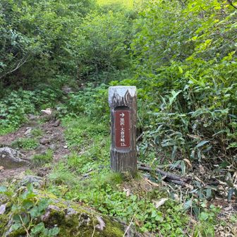 ここからが本番