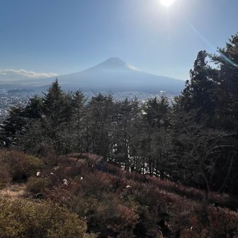 新倉山浅間公園、到着