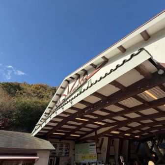 六甲ケーブルの下の駅まで降ってきました！