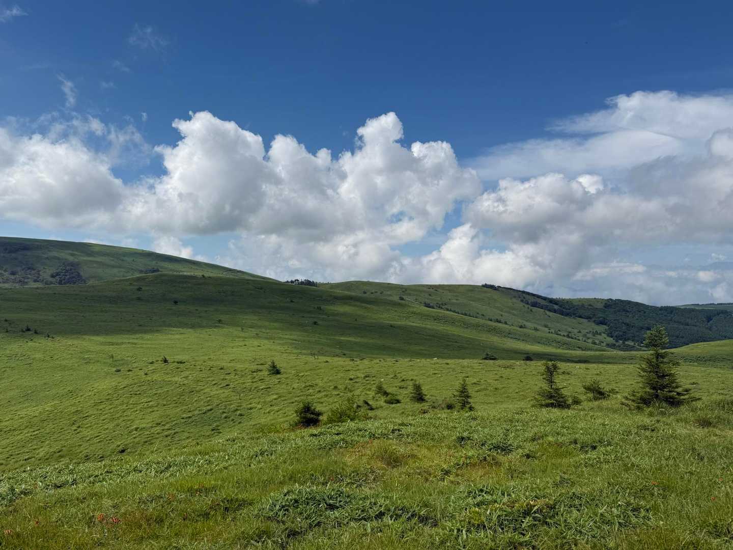 車山肩バス停-霧ヶ峰-南の耳-北の耳-男女倉山-八島ヶ原湿原 周回コースの写真