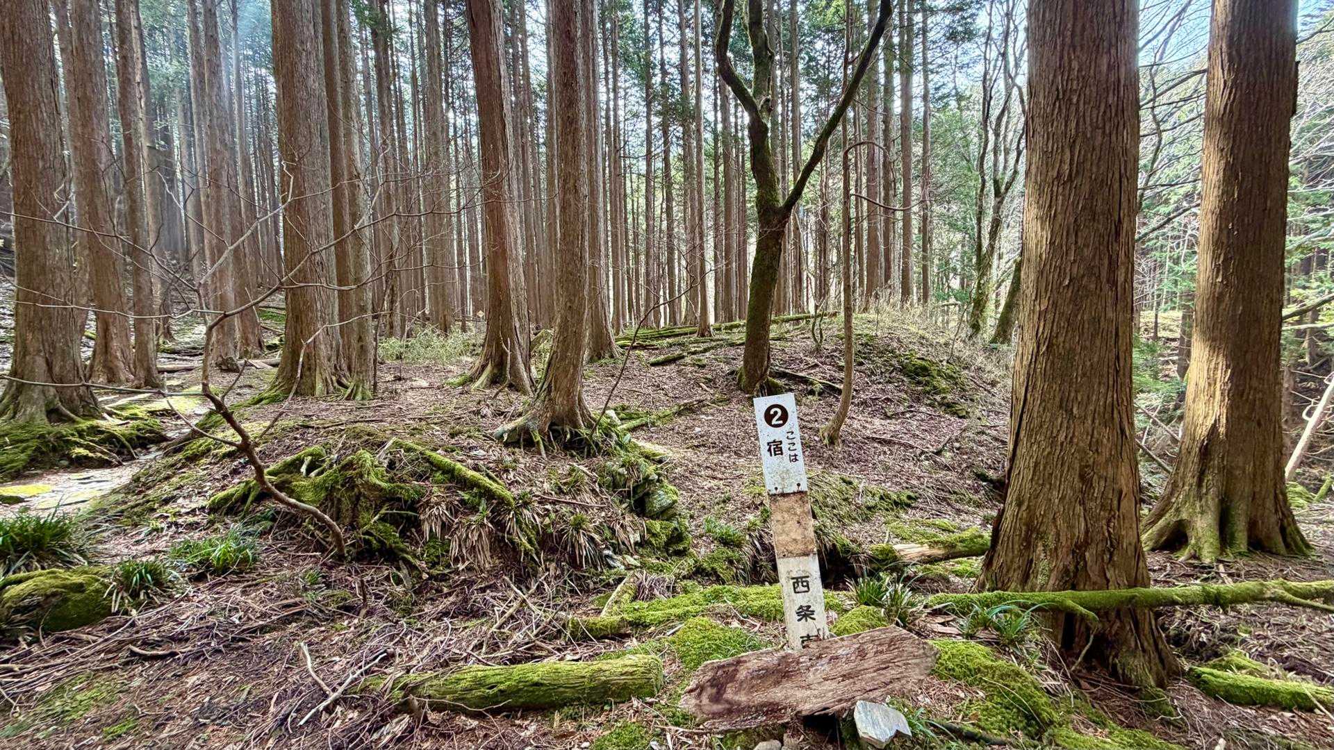 宿に到着