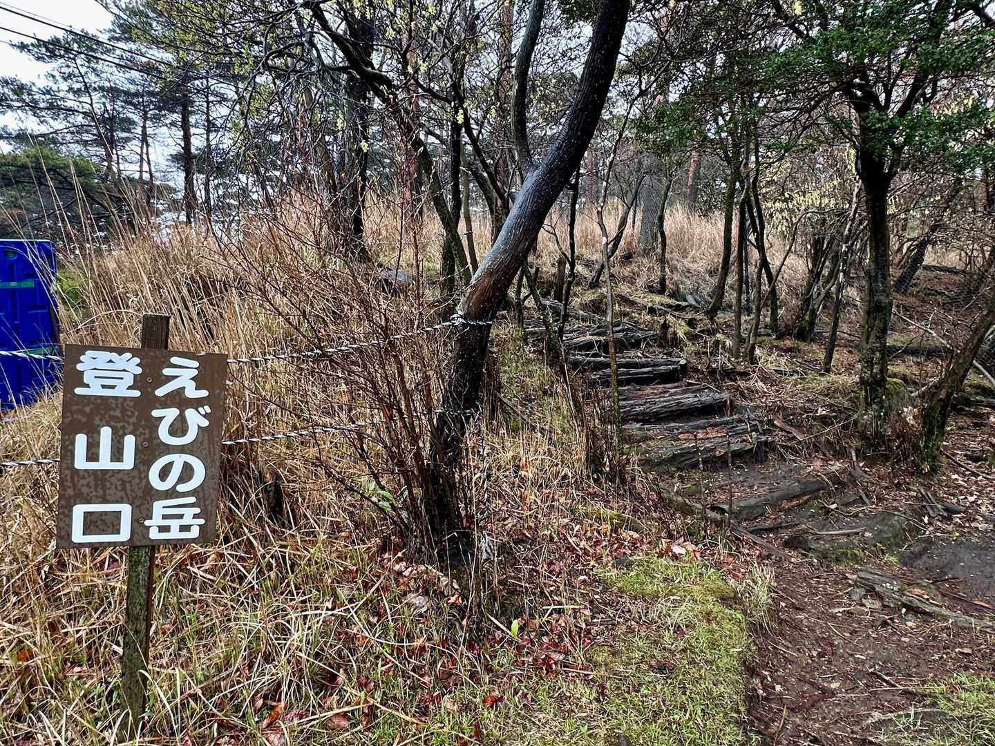 ここから、えびの岳に登ります⛰️