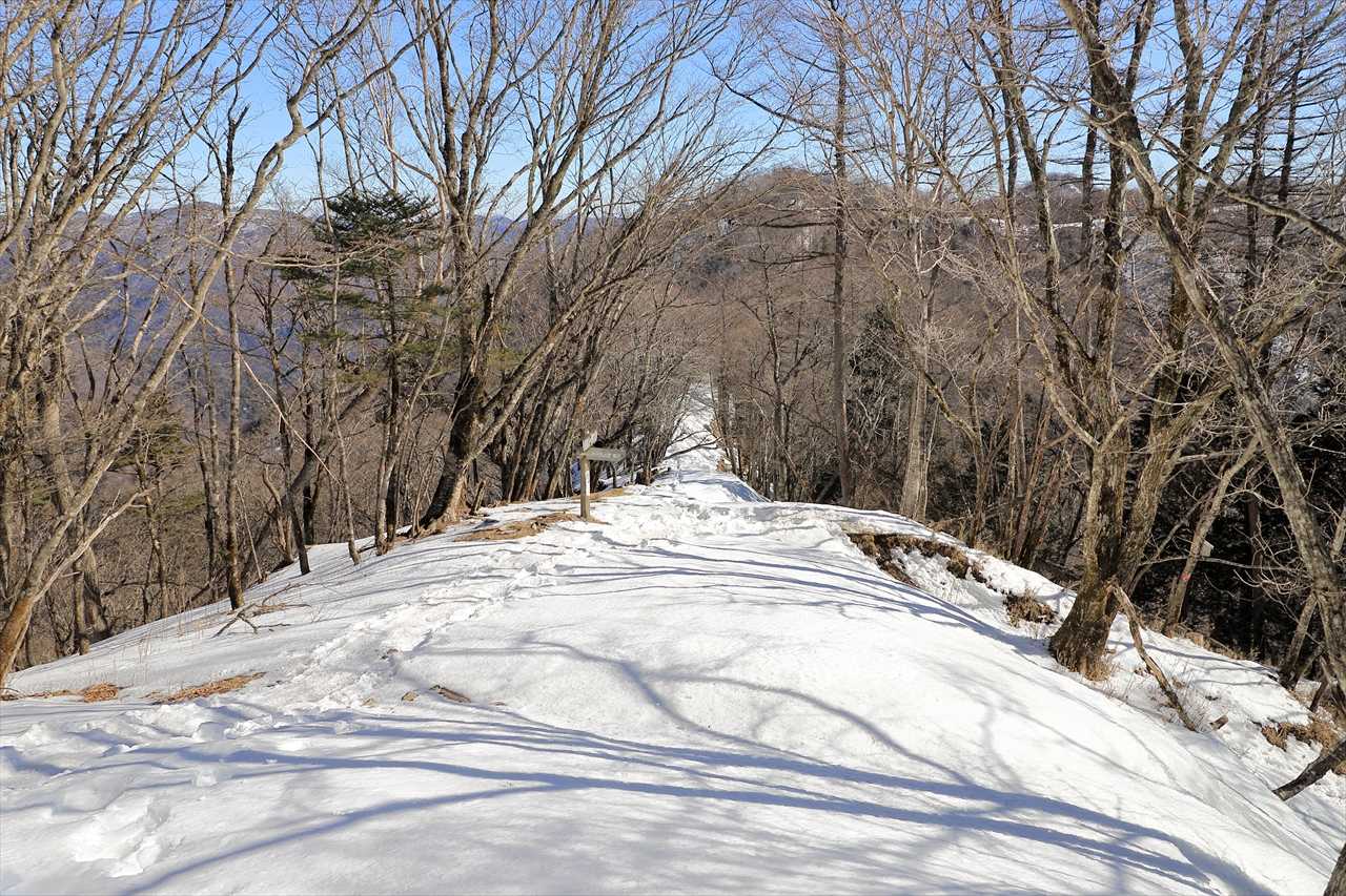 石尾根、鷹ノ巣山方向。
中央より右側のピークが鷹ノ巣山らしい。