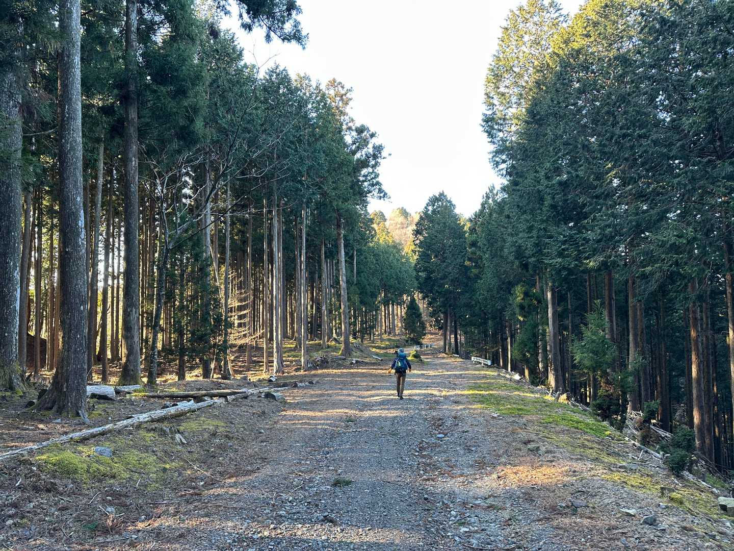 またロードに下りて来ました。
途中、何かの作業らしき車のおじさんが「何処まで行くの？」と声を掛けてくれました。今日出会った人は、このお一人だけでした。