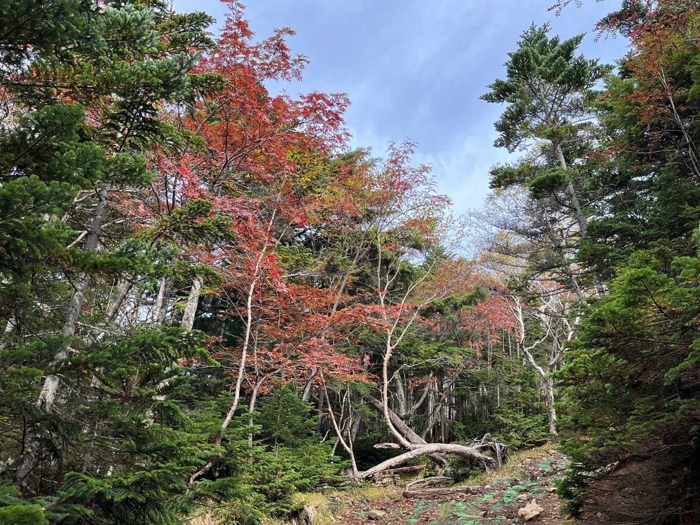 二荒山神社-男体山 往復コースの写真
