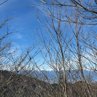 3山　登ることが出来ました

雁ヶ腹摺山(がんがはらすりやま)
牛奥ノ雁ヶ腹摺山(うしおくのがんがはらすりやま)
笹子雁ヶ腹摺山(ささごがんがはらすりやま)