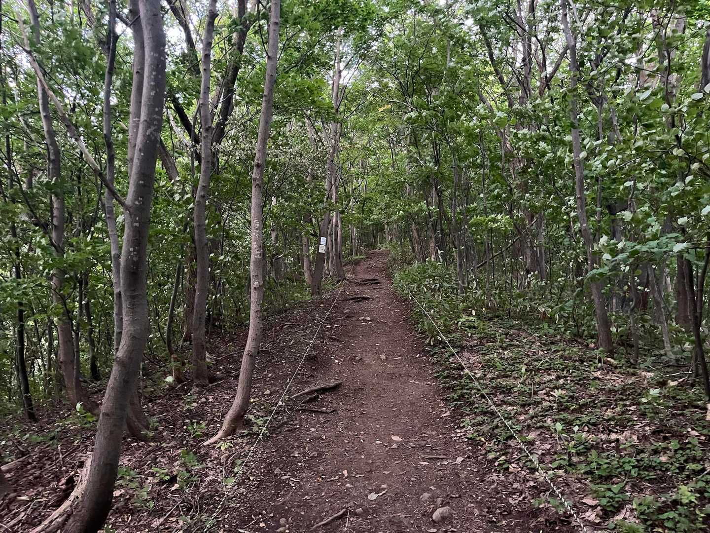 二の坂