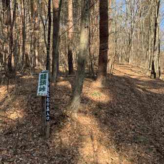 ここに出てきました。
饅頭峠です。