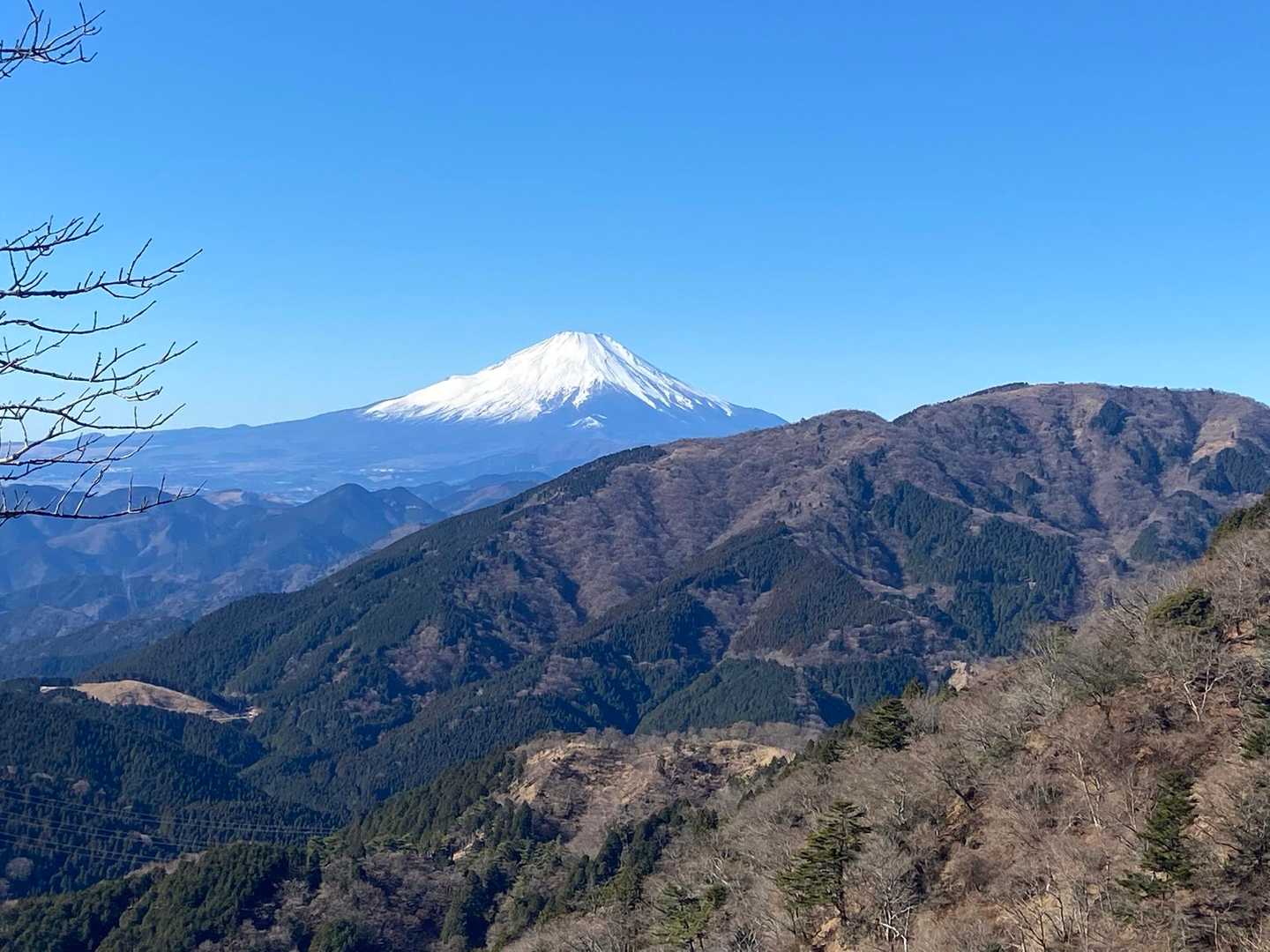 富士山