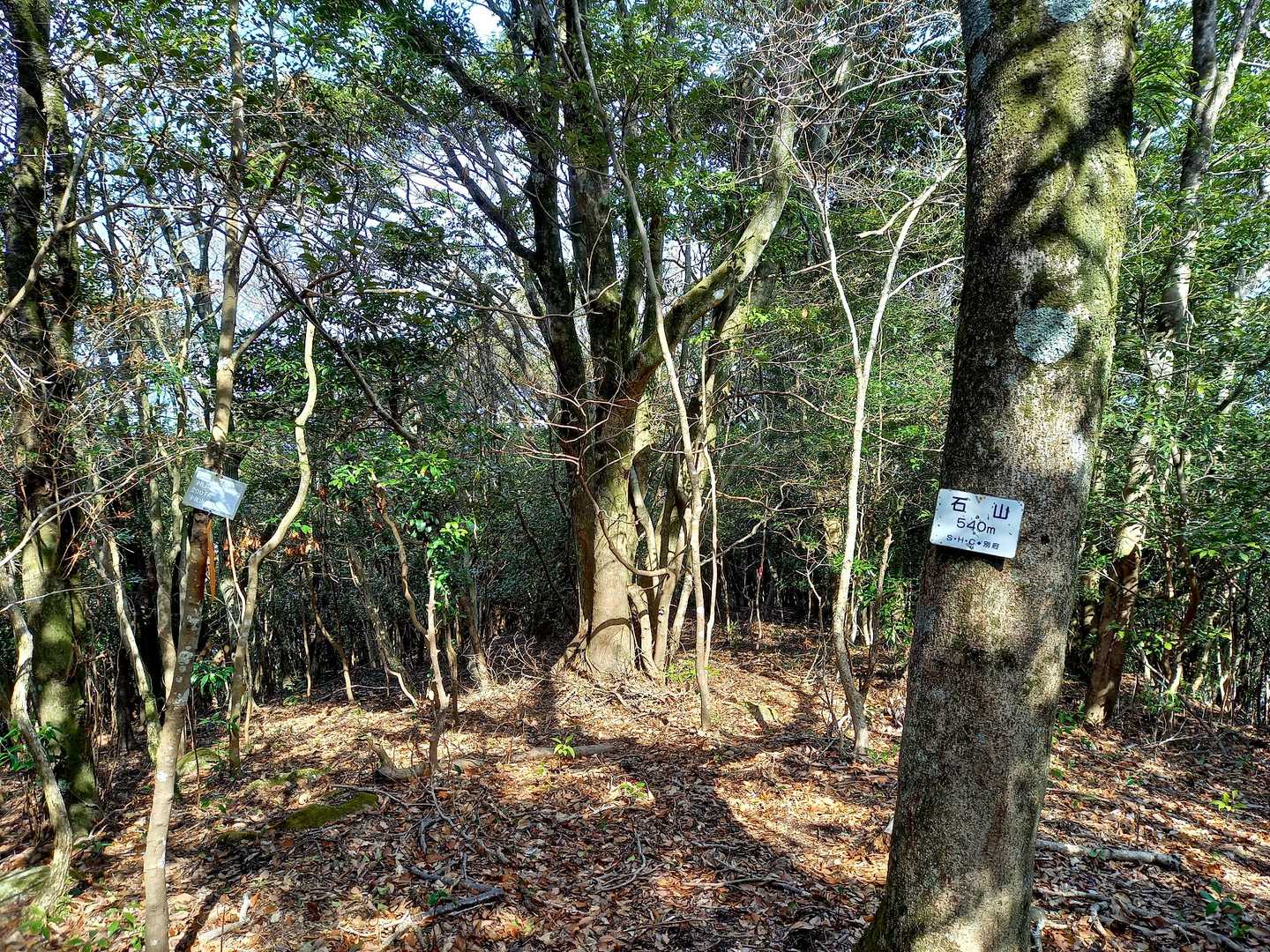 いきなり石山山頂🚩　360°🌲