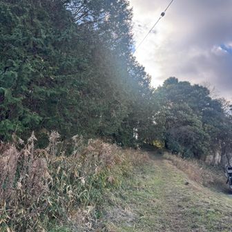 安全に巻道からin