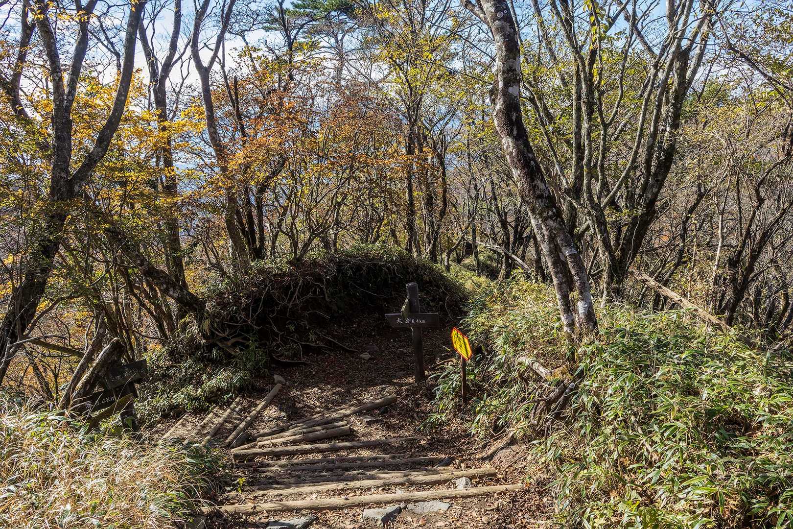 この分岐を右折です