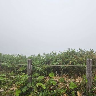 見返峠からの眺めが一番のお気に入りなのに～目の前はまるでホワイトボードよ。真っ白でも岩手にいると言うだけで心は晴々！