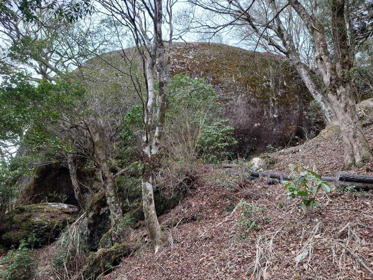 これが坊主岩かぁ。大きいなぁ