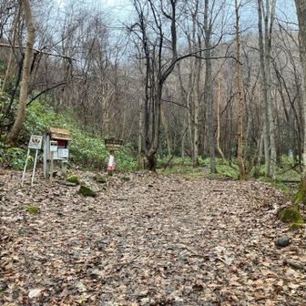 やっと行けるチャンス到来。
本当は平取方面を予定してたけど…

天気がねー