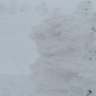 エビのシッポ、スノモン