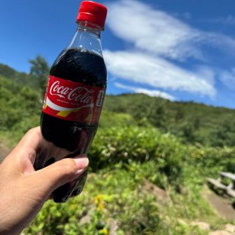 これは
500円した高級コーラ

上級国民はダースで買うようです