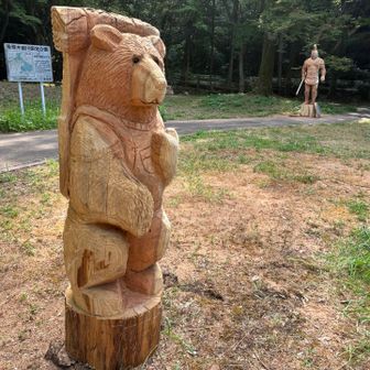 🐻出没😆