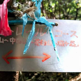 宇佐トレイルコース