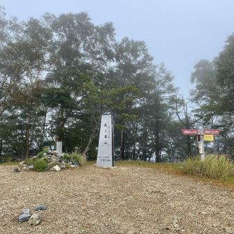 雨に少し降られましたが鷹ノ巣山に着いた時は上がってました