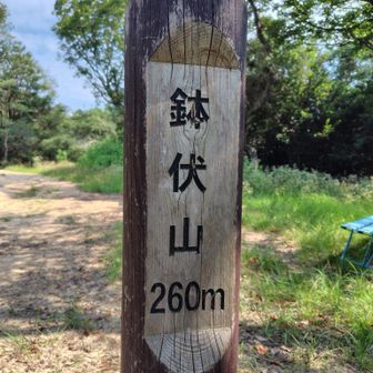 鉢伏山もいつもはスルー