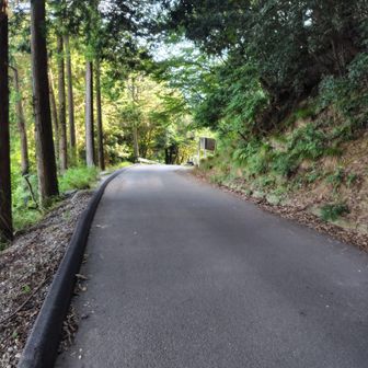 最後、車道を歩いて駐車場へ
登りは暑さに、下りは滑って、距離、標高以上に疲れました

おつかれ山でした