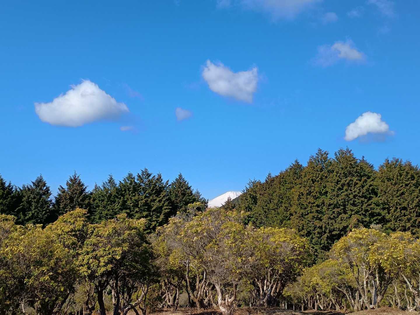 山頂からは富士山の頭だけ😆