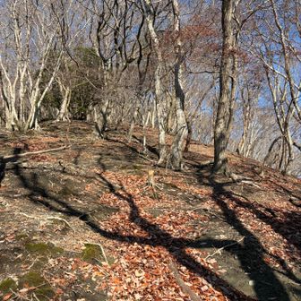 ダラダラ登る坂😩