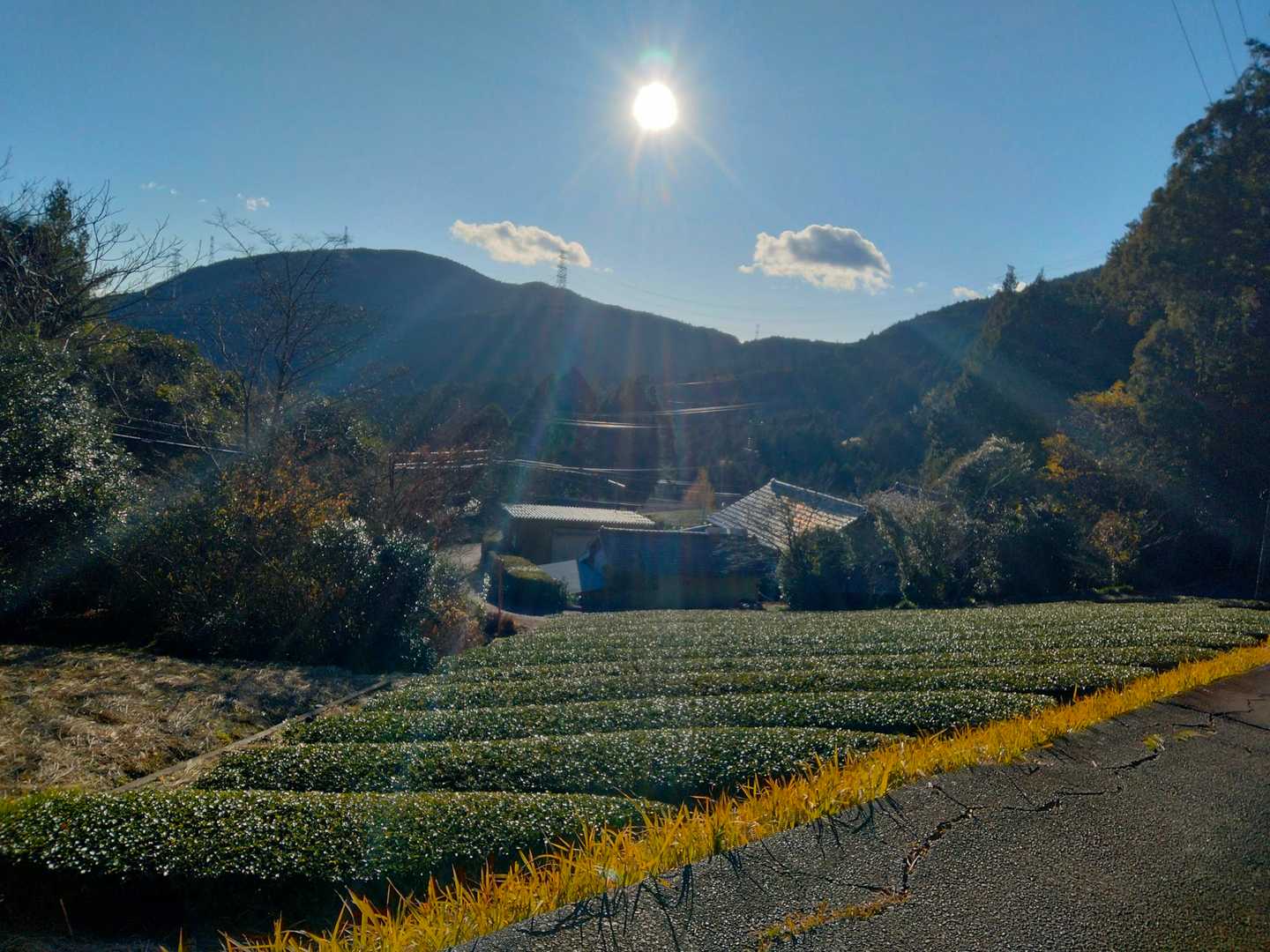 居尻バス停-大尾山 周回コースの写真