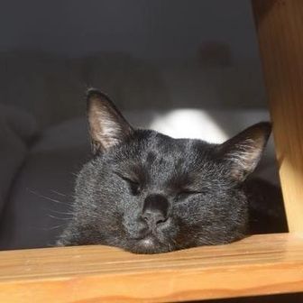 いいづか@五十肩