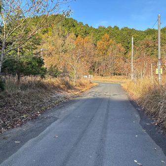 初めての葛城山へ