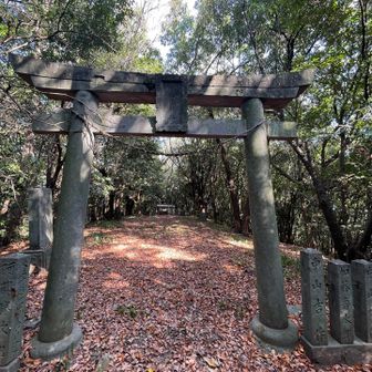 神社がありました⛩️