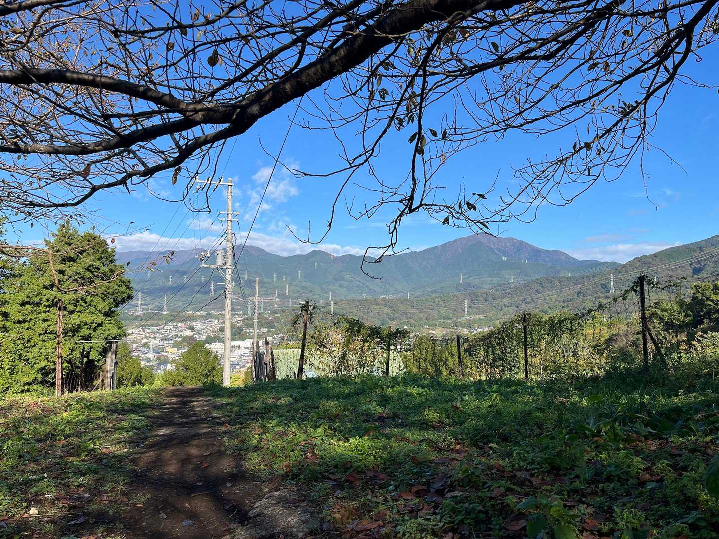 今日はとても良いお天気☀️