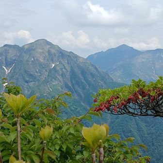 エビス大黒ノ頭と万太郎山