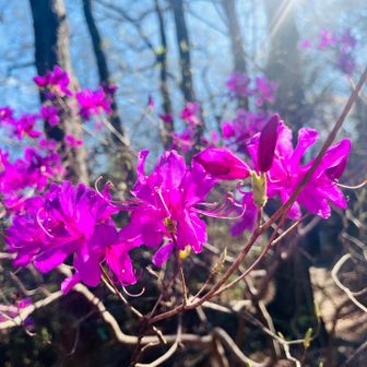 今日はスニーカーだから
この先のピークは進まずここまで
