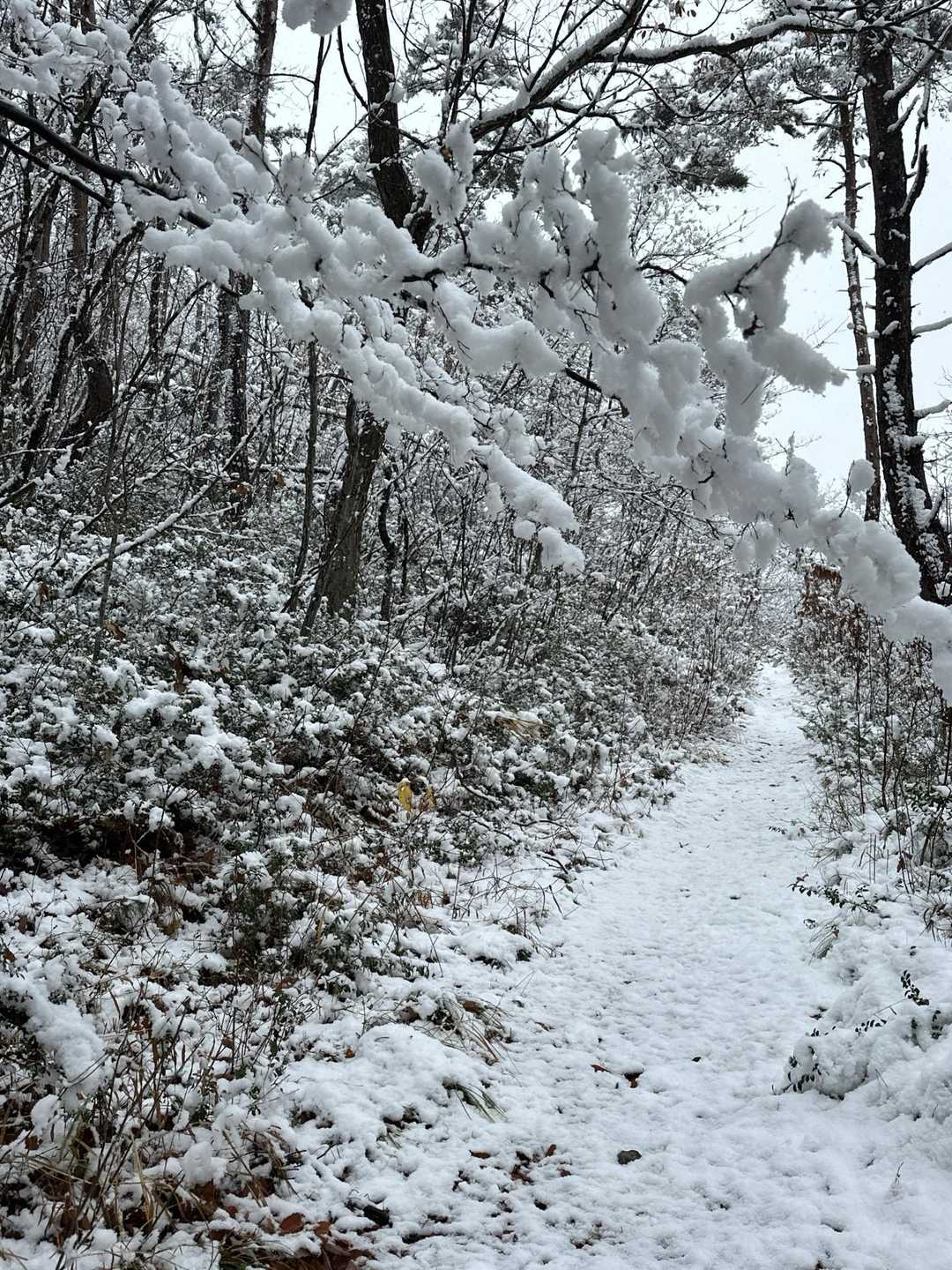 経塚山-秋葉山 周回コースの写真