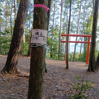 鏡山..と鳥居..
'万葉の丘 平和公園'
天智天皇(中大兄皇子)と縁があるみたいで..しかし何故 明日香から遠く離れた(当時は)辺境に墓を？秦氏とか加茂氏が関係した？あっ大津京で没したのね..