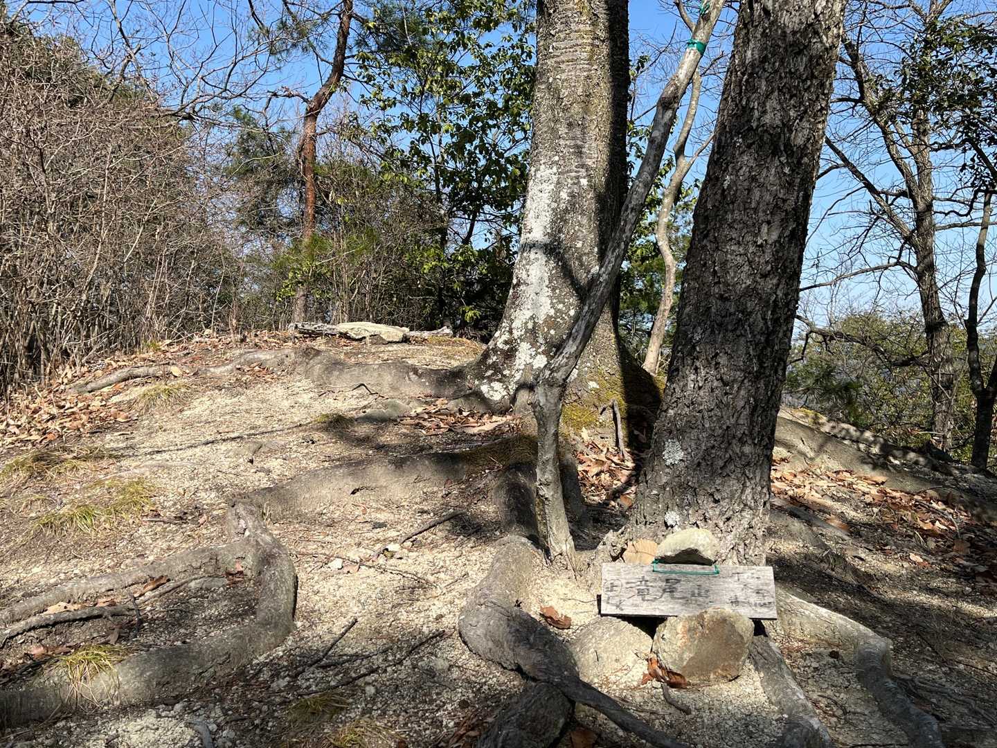 滝尾山🚩ゲット😎…で、下山して隣の尾根へ🚶‍♂️