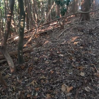 10mほど藪を抜けると山道に出る