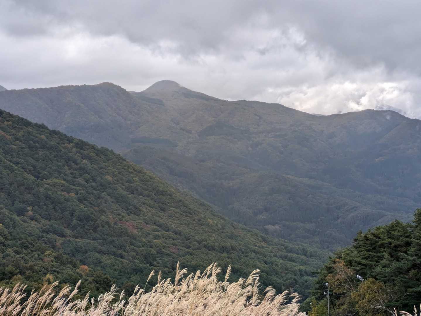 高社山 往復コースの写真