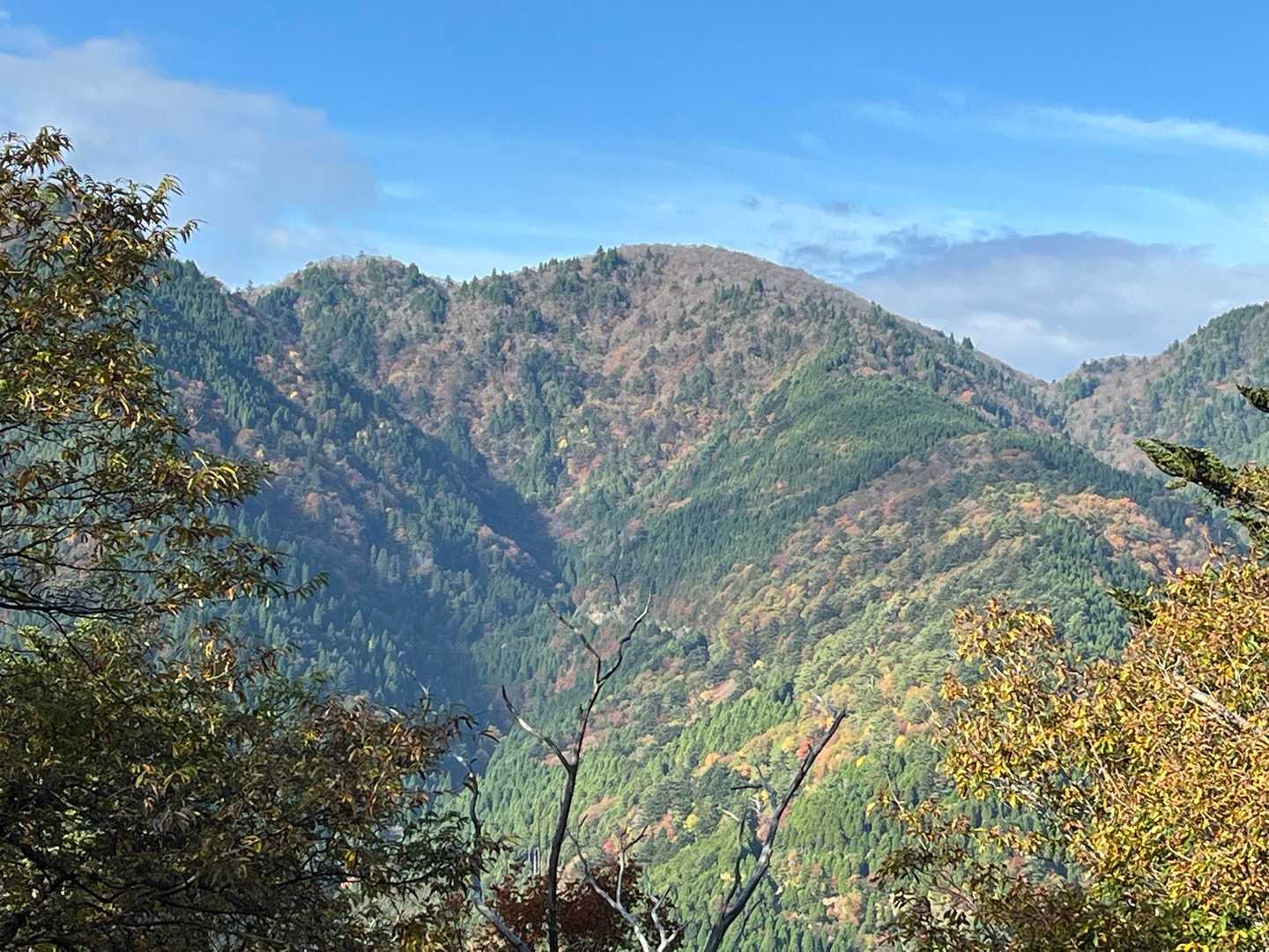 坊村バス停-坊村登山口-御殿山-ワサビ峠-武奈ヶ岳-北比良 縦走コースの写真