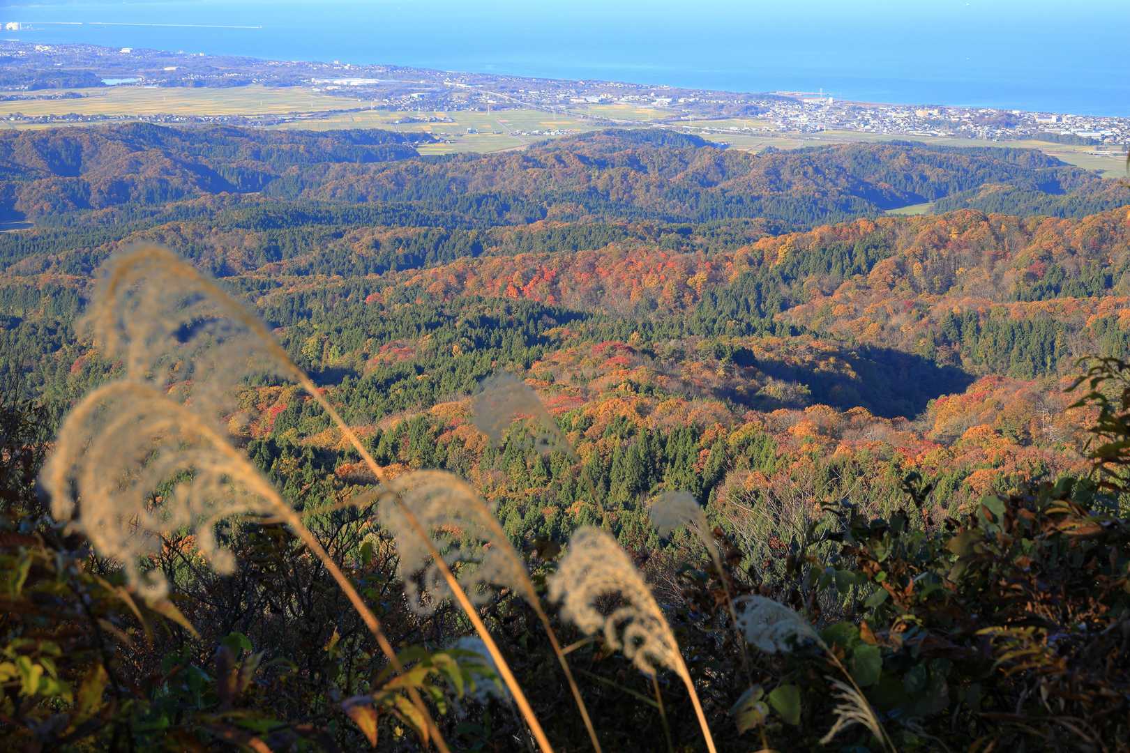 展望ポイント